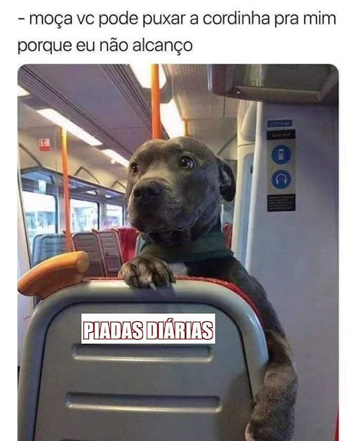 Memes engraçados Memes engraçados