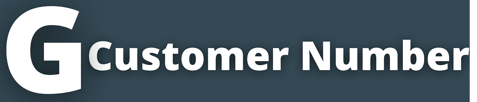 Flamingo Customer Care Number - Email, toll-free helpline