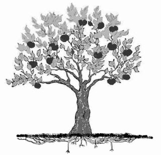 MEMECAHKAN PSIKOTES  MENGGAMBAR POHON  Draw a Tree 