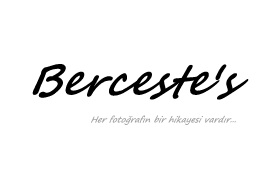 Berceste's