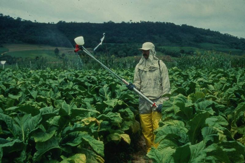 How the hell should I know? Keep smoking people...