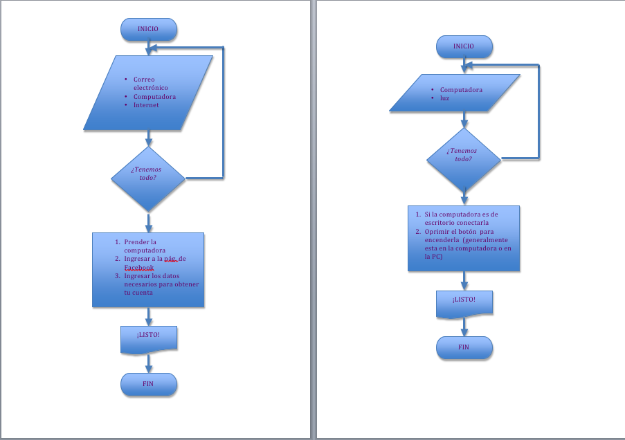 COMPUTACION: diagrama de flujo