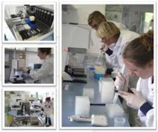 Presija fo Protesaun ba Konsumedores, AIFAESA Presija laboratoriu