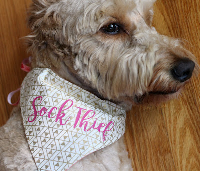 How to Make a Reversible, Personalized Dog Bandana | Use basic sewing skills, your Silhouette and HTV to create a unique pet accessory. pitterandglink.com