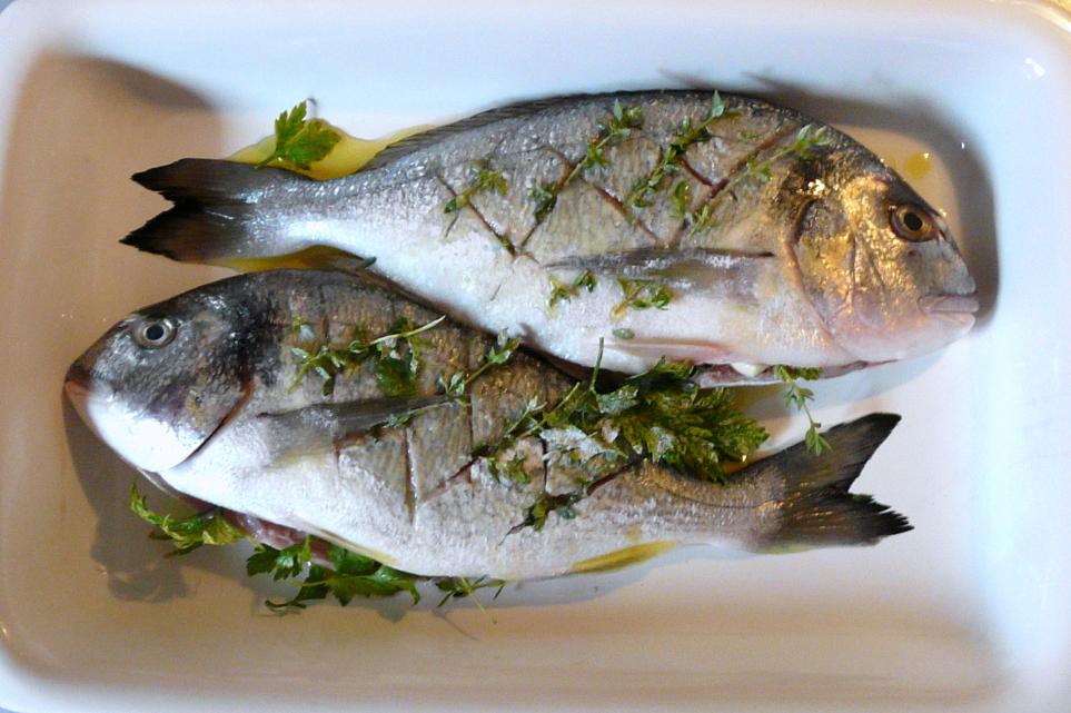 Kulinarische Welten zu Fisch- und Meeresfrucht: Dorade mit Panzanella