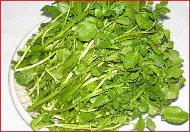 Watercress Pictures