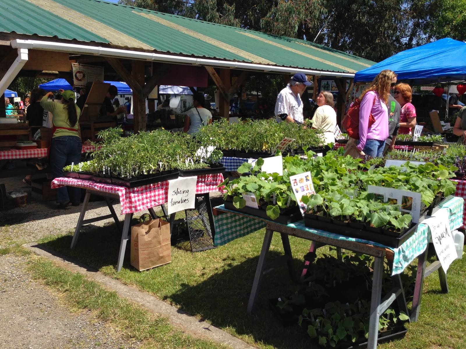 Grass Roots Quilting Vashon Island Shopping Trip