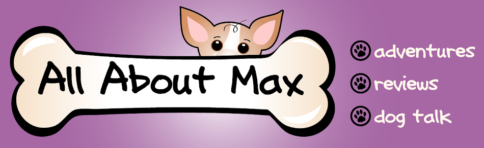 All About Max ...My Chihuahua Mix Dog...Dog Product Reviews, Etc. 