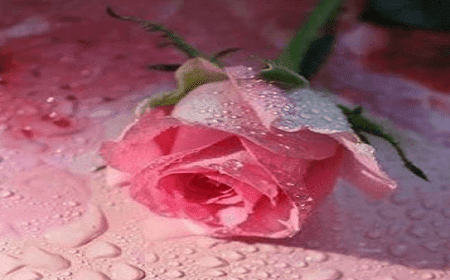 Gratis Download Gambar Puisi Cinta Terindah Dan Romantis Untuk Pacar Tersayang Terbaru oleh Katacinta.co