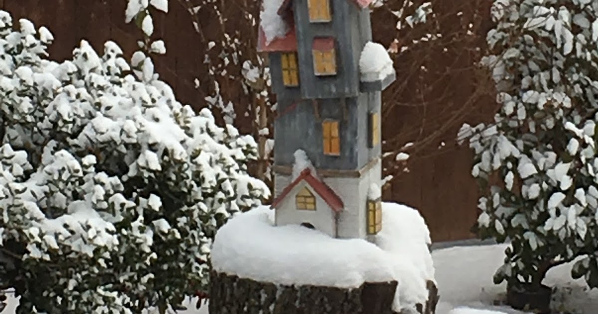 Paisley Curtain After the snow!