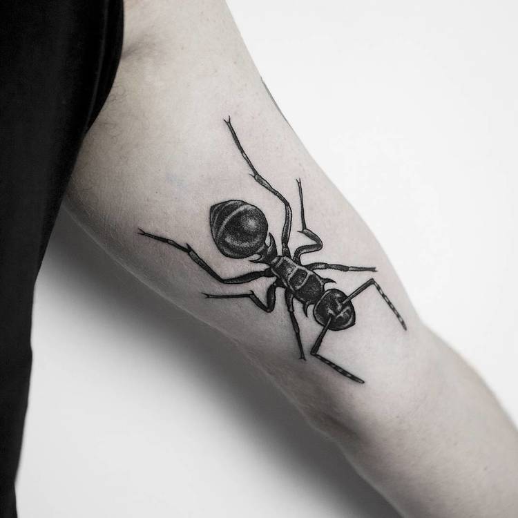 Tatuaje de hormigas por olcur_tattoo