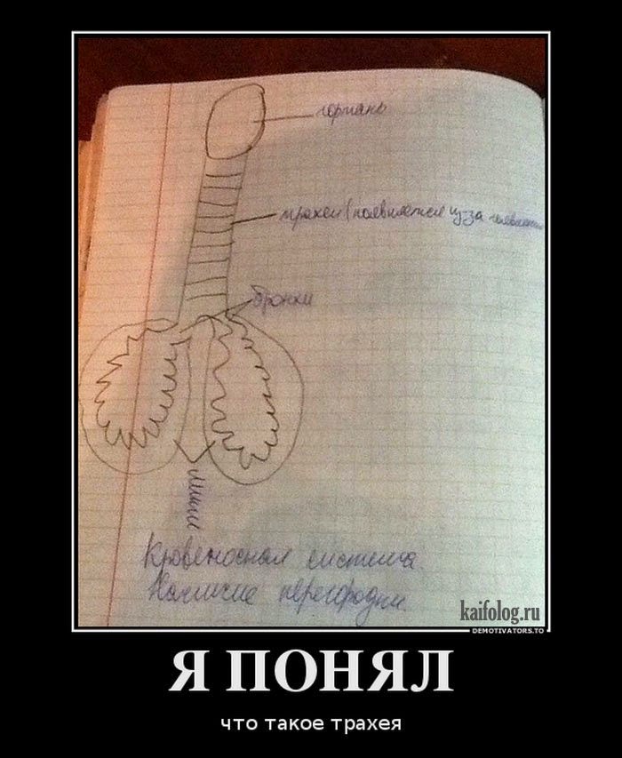 книга как общаться с мудакамм. рофлы и как их понимать книга мем. рофлы и как их понимать. понял картинки прикольные. рофл пособие.