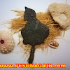 Keris Semar Wesi Ireng Keris Semar Wesi Ireng