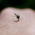 Repelente Natural de Mosquitos