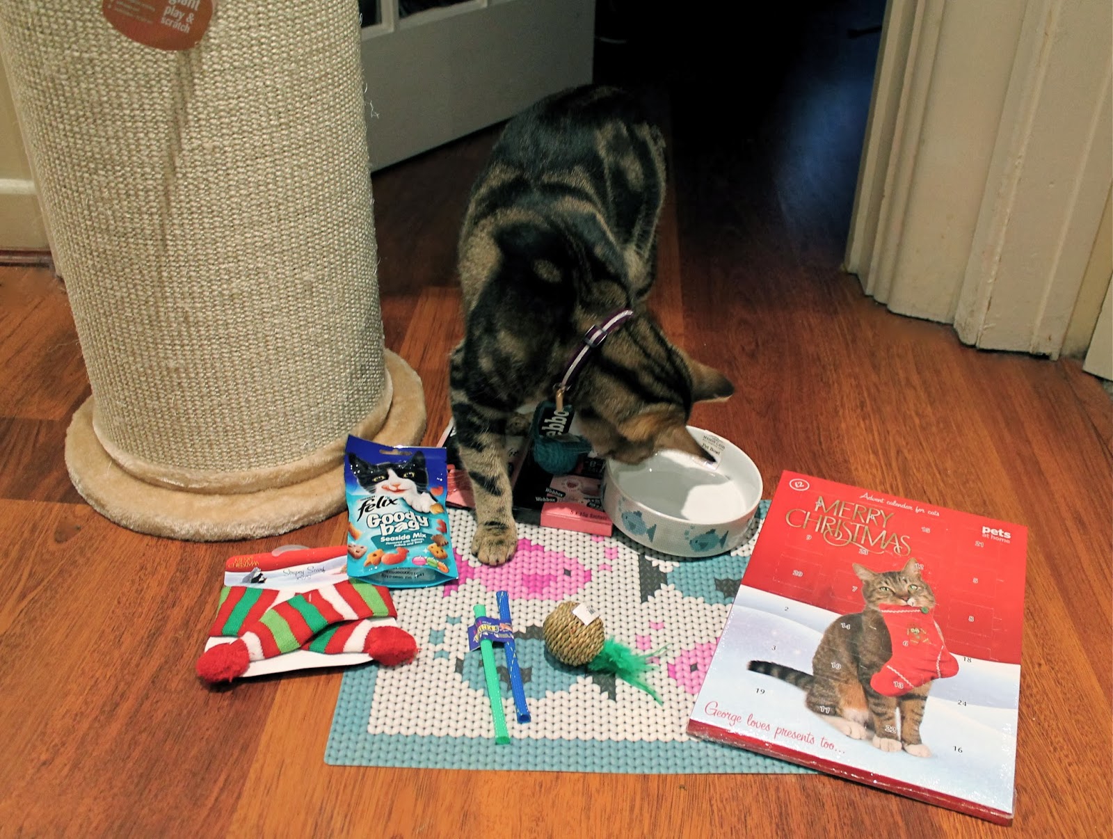 PreChristmas Shopping for Prince the Cat.