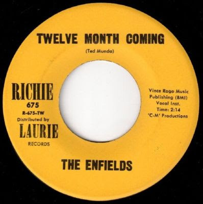 The_Enfields,Friends,garage,psychedelic-rocknroll,ted_munda,Twelve_month_coming,1966