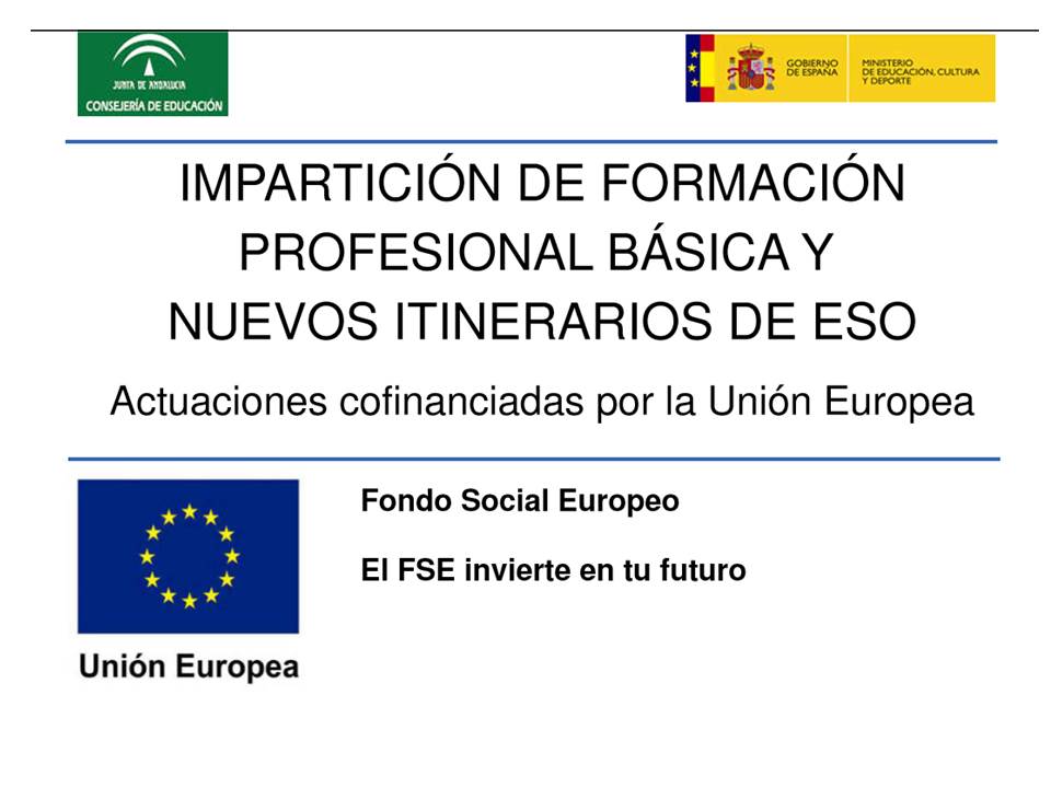 Fondo Social Europeo