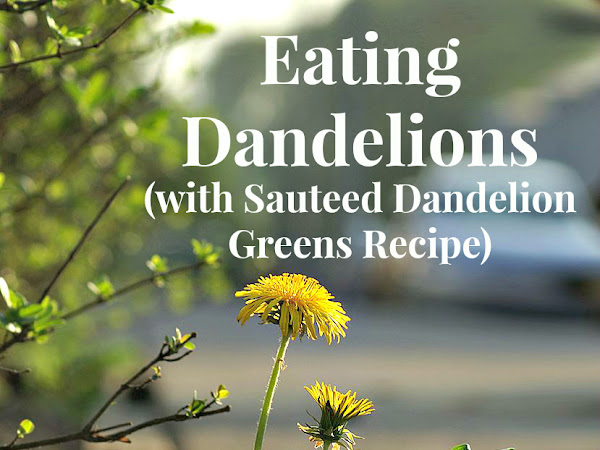 Ah Sweet...Dandelions? With Sauteed Dandelion Greens Recipe