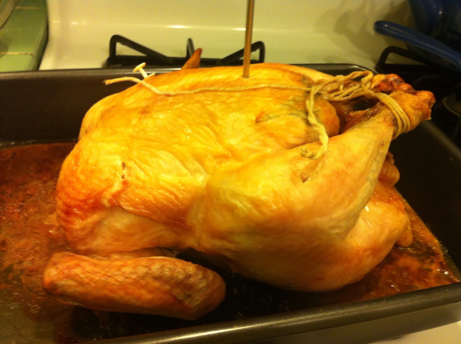 Food, Love and Hobbits How to eat an entire chicken, day 1 Rosemary