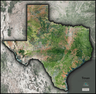 Texas Satellite Physical Wall Map