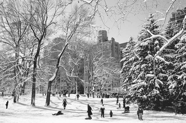 Brooklyn, New York-based photographer Dustin Cantrell just wrote to us to tell us about a beautiful new set of photos he took of New York's Central Park after the recent blizzard. The massive snowstorm, nicknamed Nemo by The Weather Channel, was caused by the collision of two weather systems, from the west and the south.