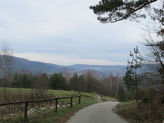 Droga z doliny Ziębówki. W głębi widoczna jest dolina Trzebuńki.
