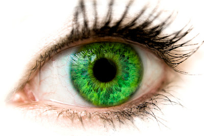 Best Makeup Tips For Green Eyes