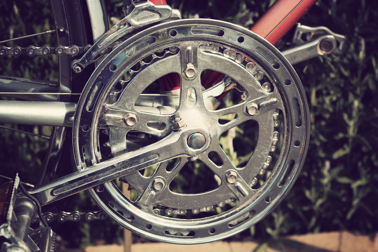 Bicycle! Bicycle!: Vintage Ten Speed is Painless, it Brings on Many ...