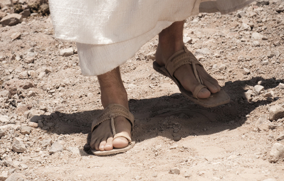 El camino de Jesús en Galilea