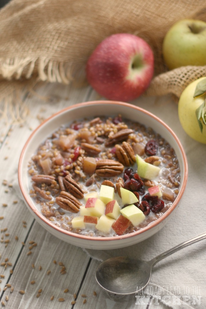 Slow Cooker Apple Cranberry Einkorn Porridge All Roads Lead to the