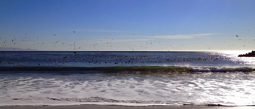 Colourful Google Doodles