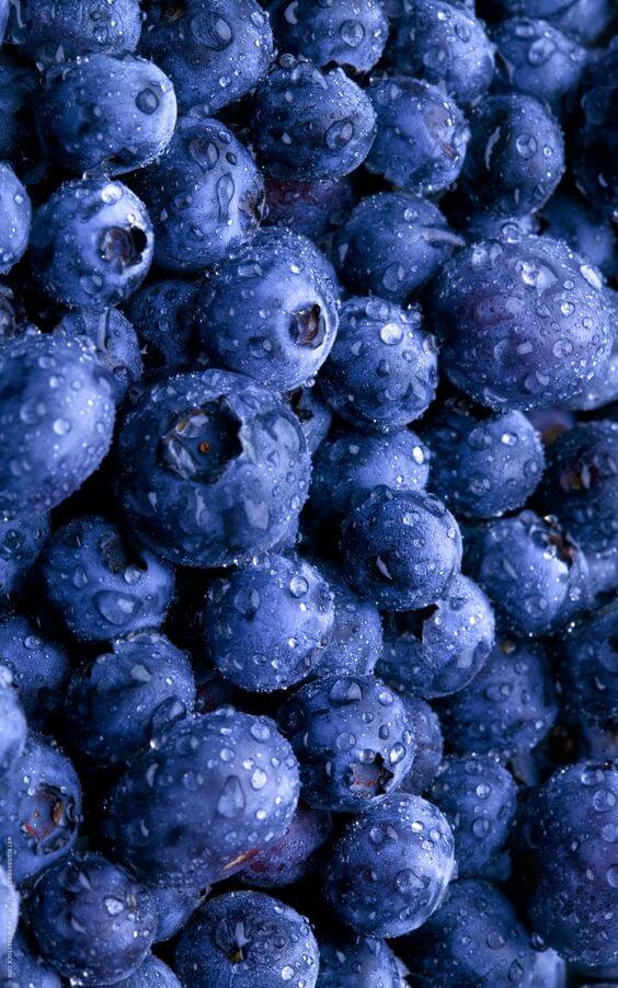 Download Blueberry Wallpaper, Images, Pictures In 4K Resolution - Free