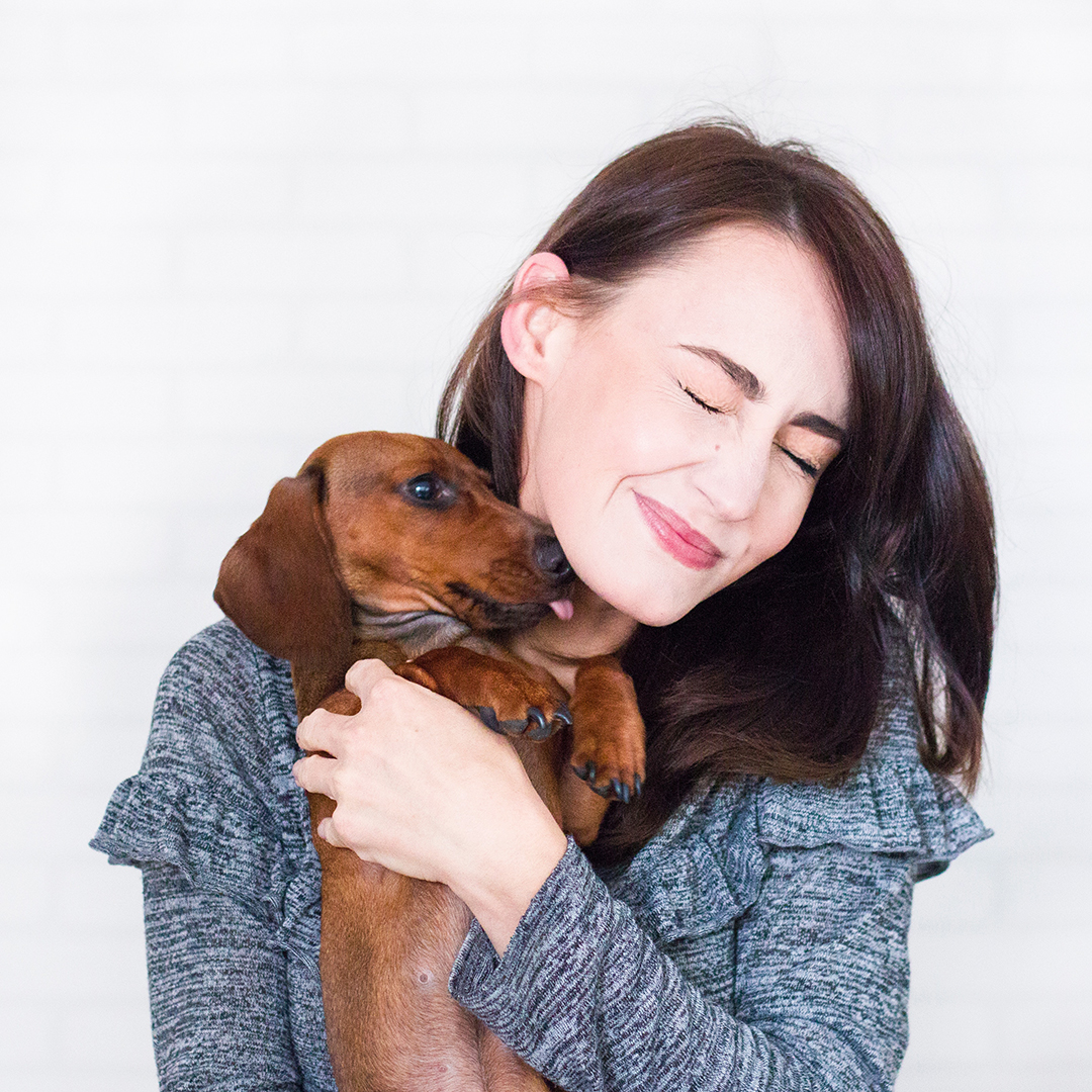 Bed Rest Games for Dogs PostSurgery Australian Dog Lover