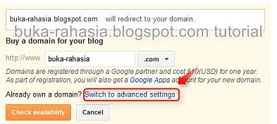 domain advanced settings