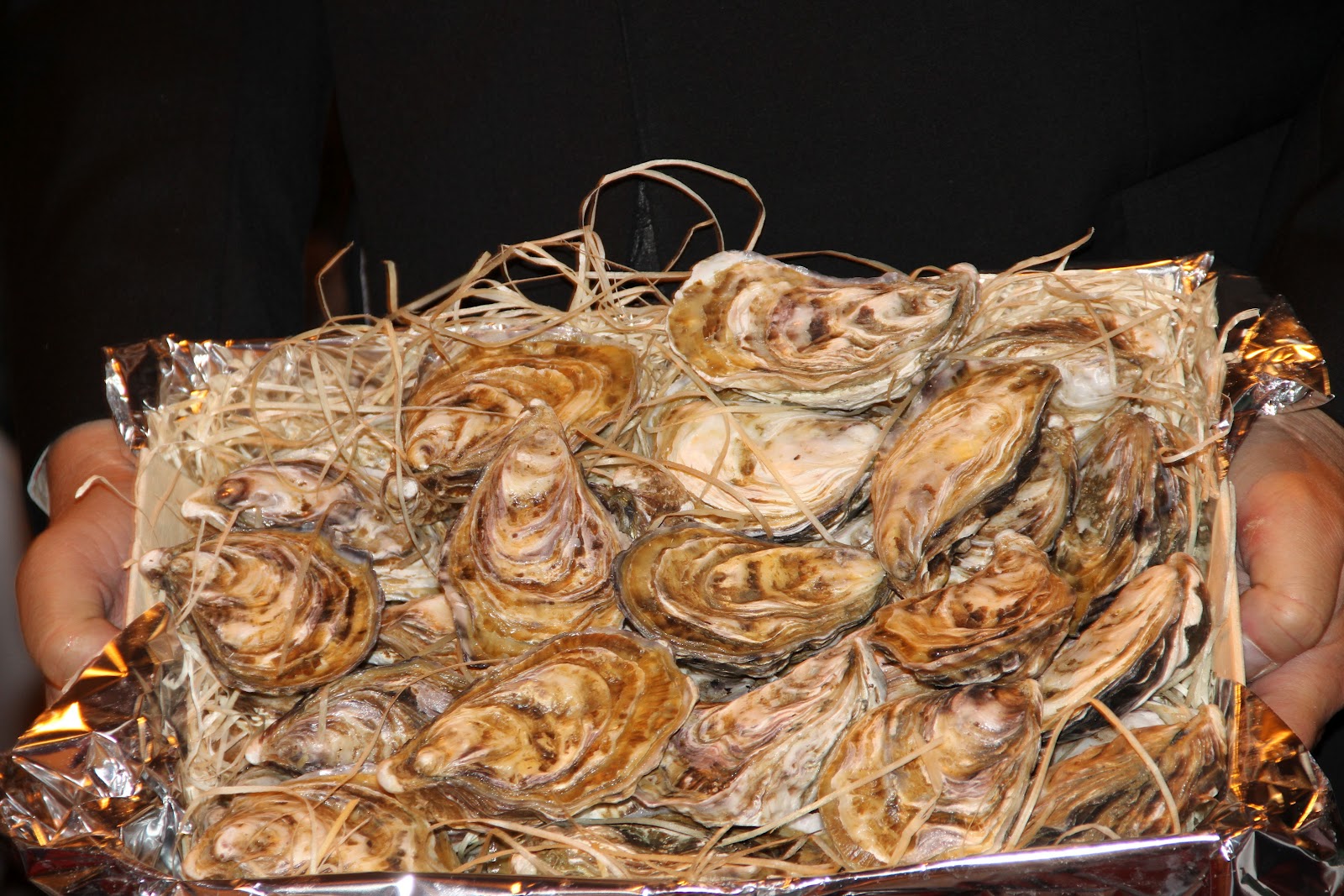 EL MUNDO VISTO POR ESTEBAN CAPDEVILA: XXVI Salón de Gourmets. Un