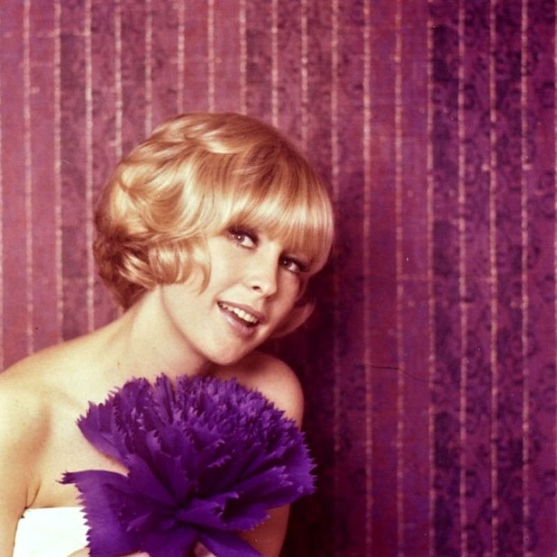 45 Beautiful Color Photographs of a Young Barbara Eden in the 1960s ~  Vintage Everyday
