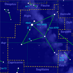 Aigle et Dauphin, constellations et losanges
