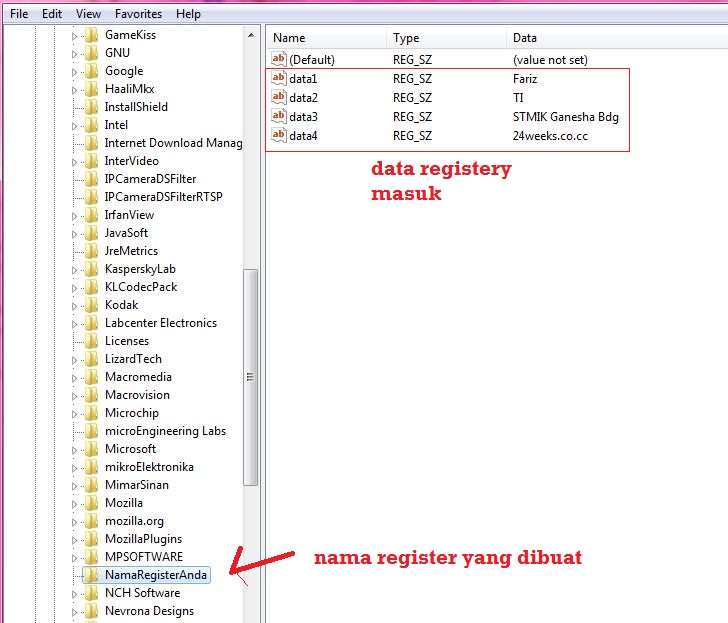 Tutorial Delphi Mengoptimalkan Fungsi Registry Microtrafh