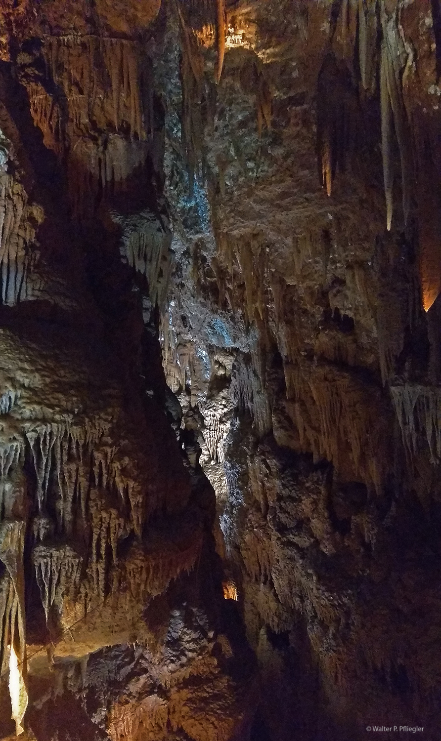 Nature photos from an Amateur Naturalist: Baredine Cave, Croatia (Höhle