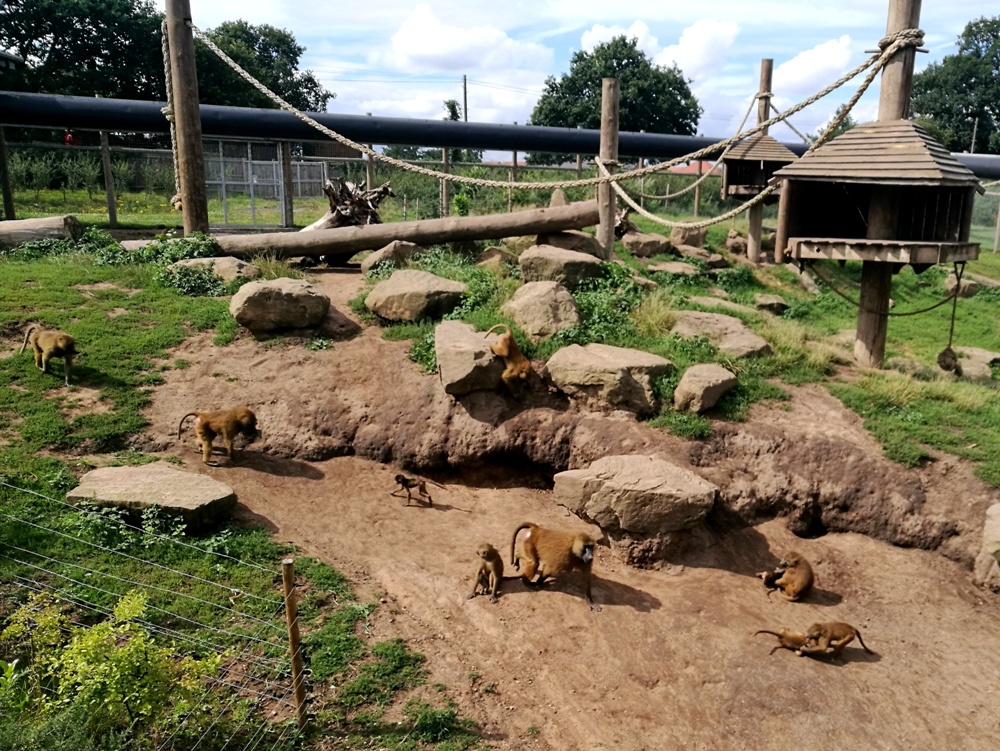 Yorkshire Wildlife Park - Elle Field