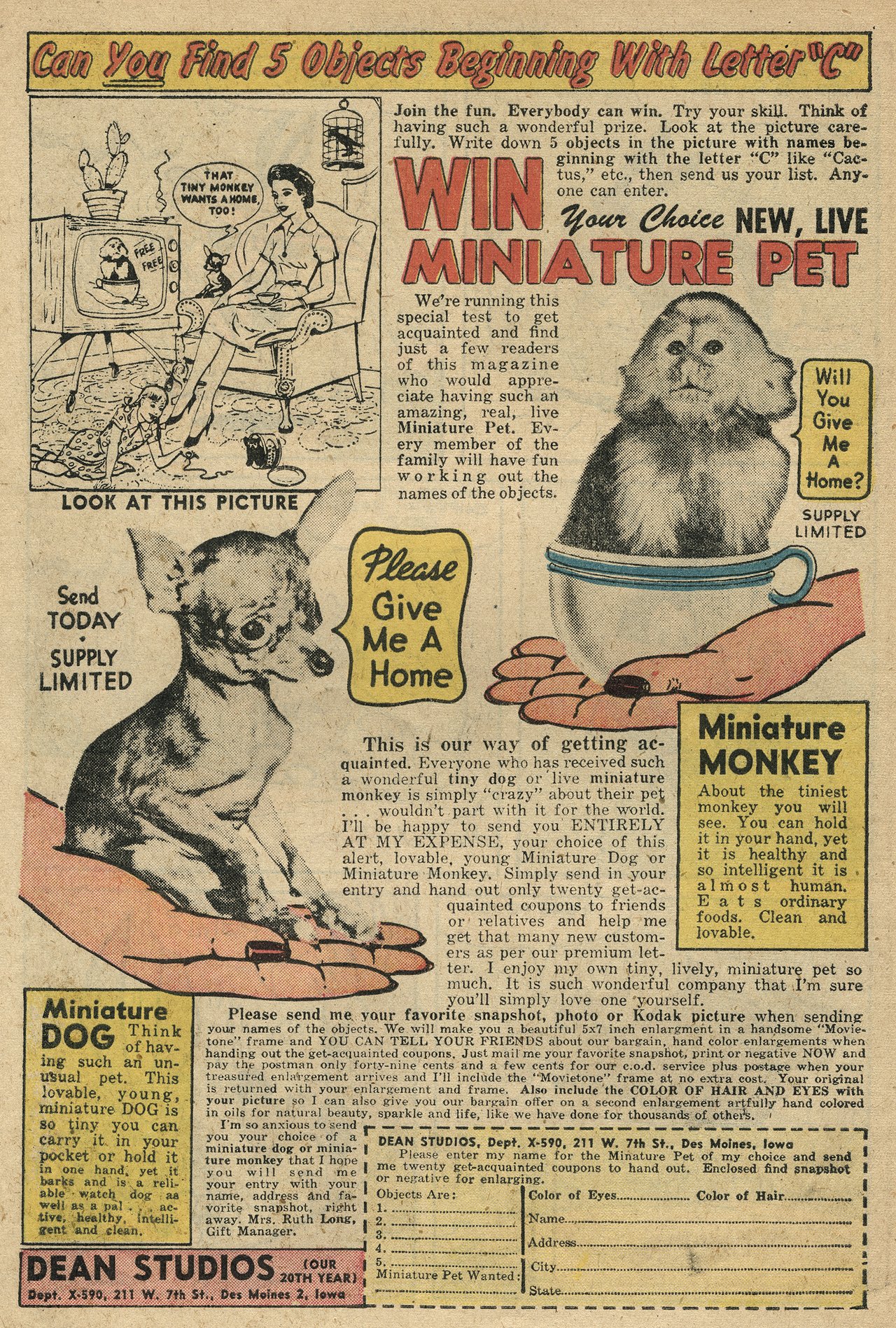 Read online Atomic Bunny comic -  Issue #15 - 6