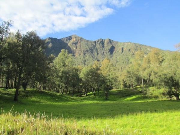 Pasar Setan di Gunung Arjuna Pasar Setan di Gunung Arjuna