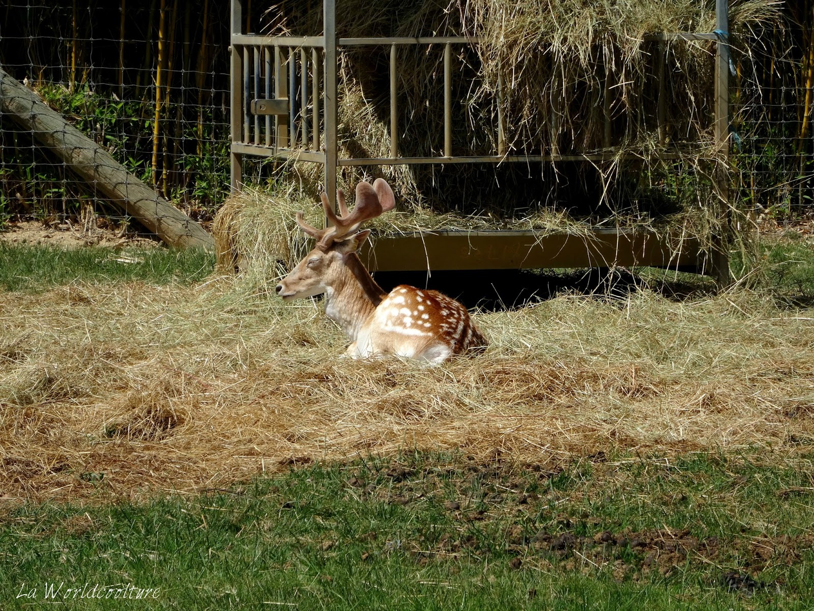 Tarn Les Jardins Des Martels La World Coolture
