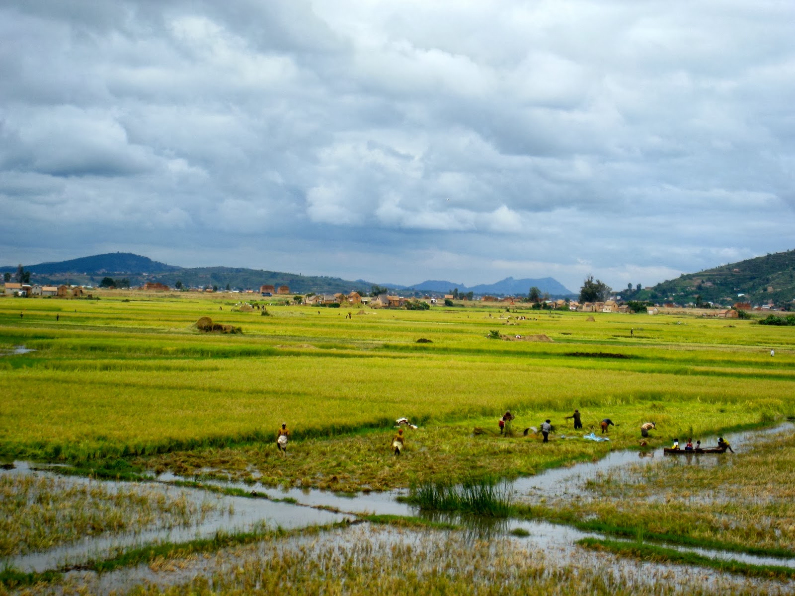Pat à Mada: février 2014