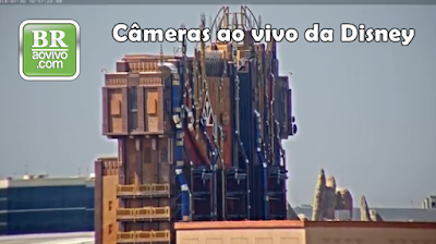 câmeras ao vivo da disney