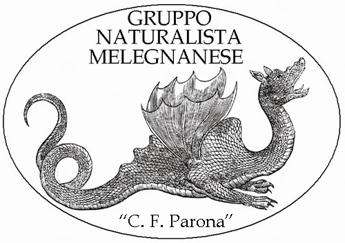 GRUPPO NATURALISTA MELEGNANESE "C. F. Parona"