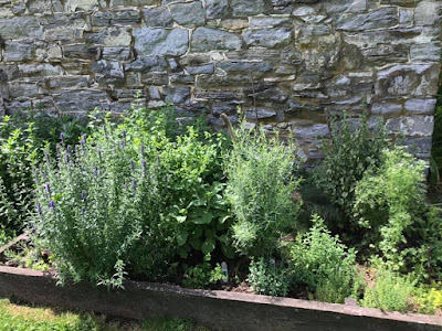 Stone wall with garden bed in front filled with herbs
