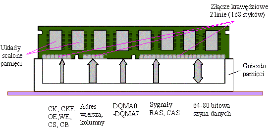 EE08 / INF.02: Skrót z teorii