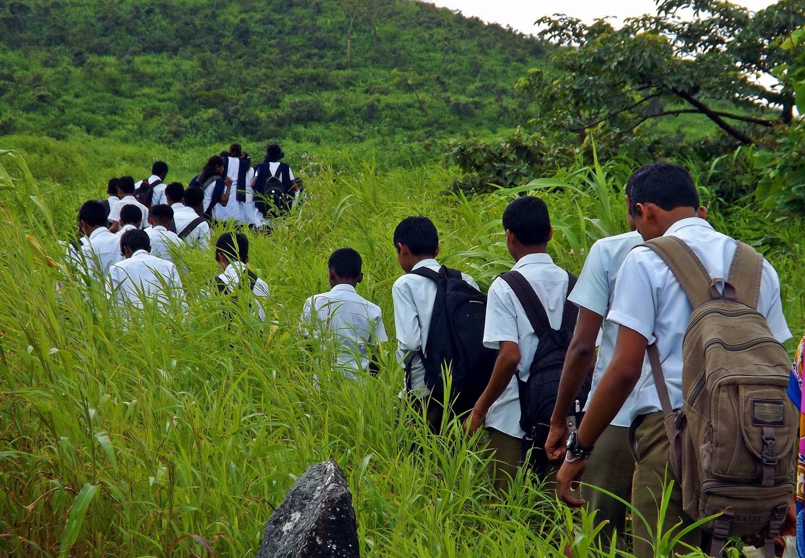 निसर्ग भटकंती