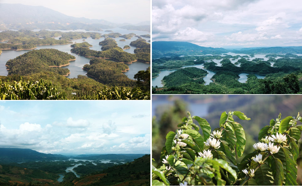 Homestay Hồ Tà Đùng: Thiên đường ngắm “Vịnh Hạ Long” thu nhỏ Tây Nguyên